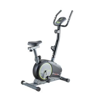 Insportline Motionscykel Ellare II
